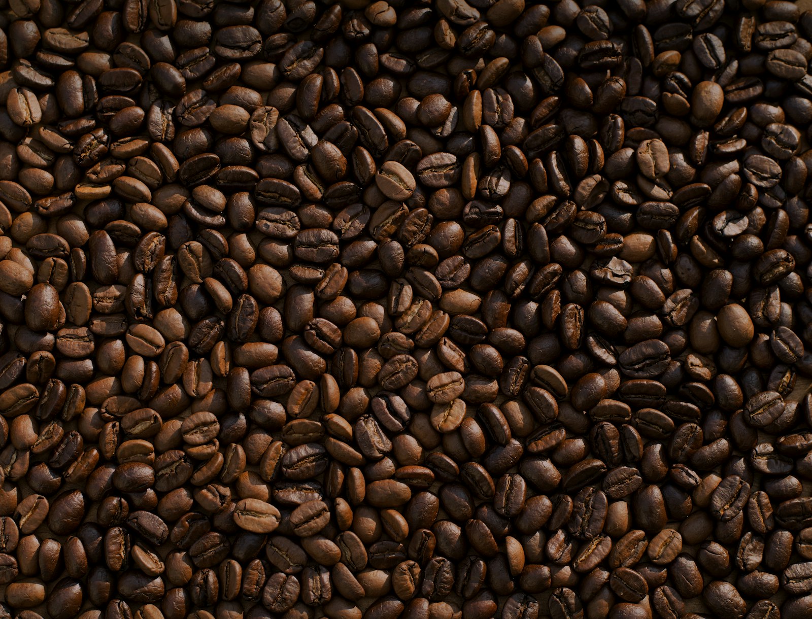 Dark roasted coffee beans